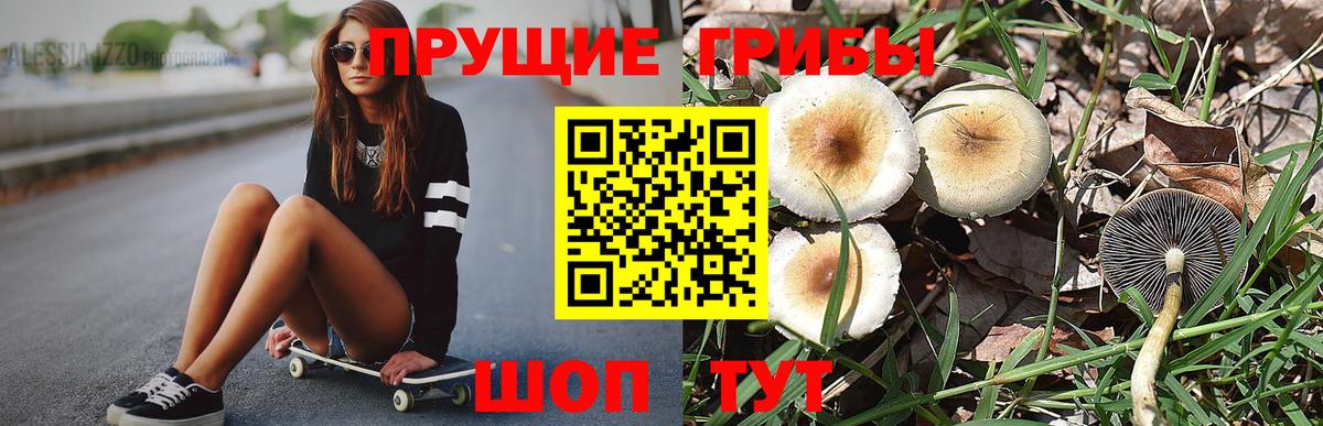 Рузаевка  Галлюциногенные грибы мицелий  Вход с VPN 